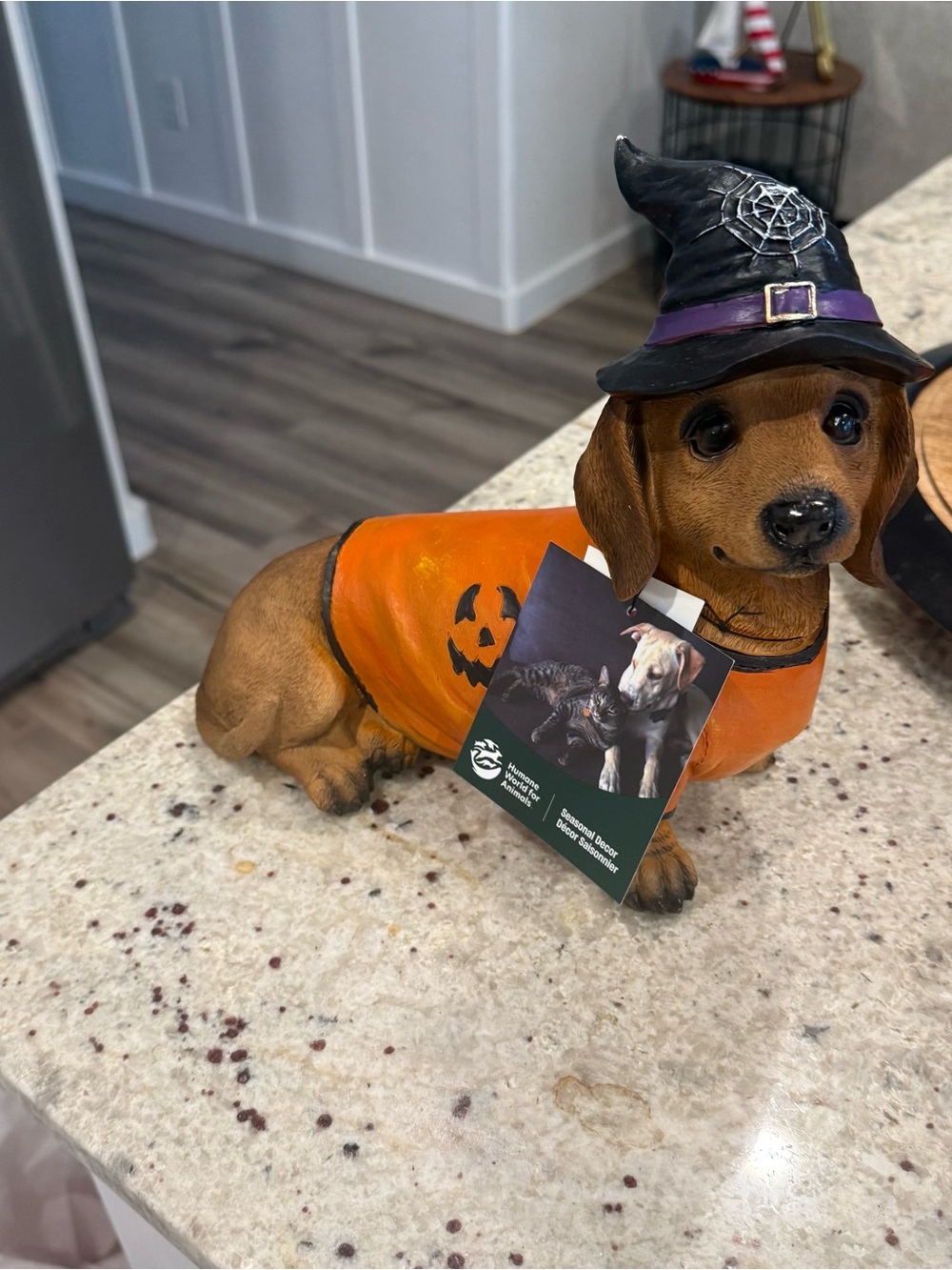 Halloween Dachshund Dog Statue in Orange Costume with Witch Hat